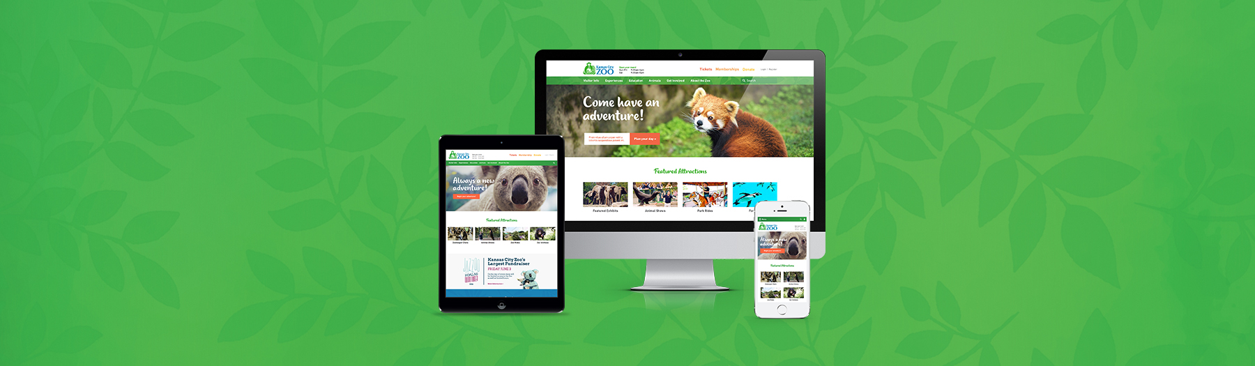 Responsive Web Design For The Kansas City Zoo