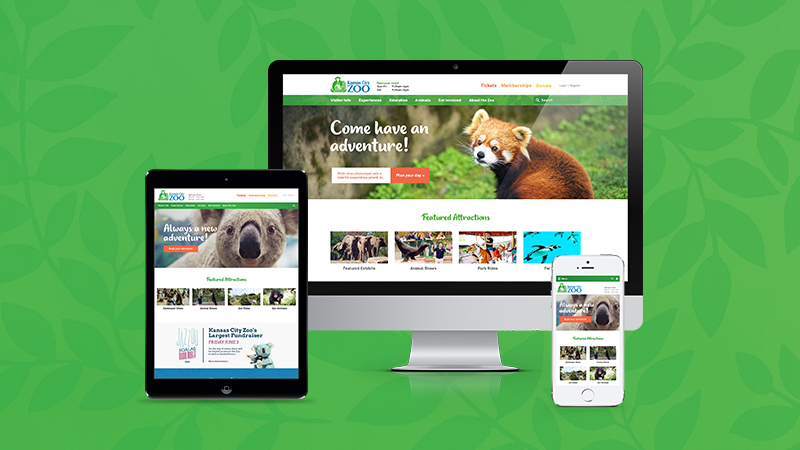 Responsive Website Design For The Kansas City Zoo